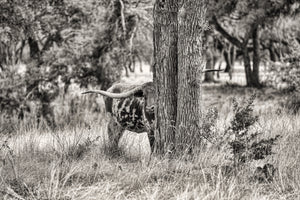 Sepia “Peekaboo” blank