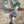 Epona’s Stallion
