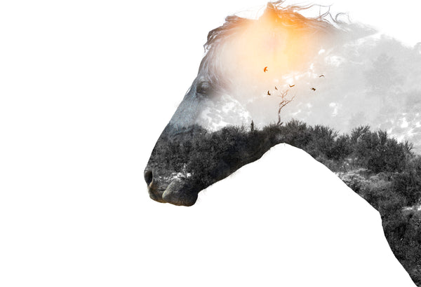 Digital composite