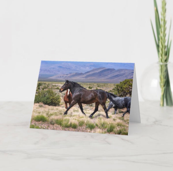 Freedom 5x7 Greeting card