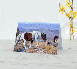 Crossing Cold Creek 5x7 Blank Greeting Card