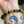 Wild Horse Tiger Eye & Turquoise Bracelet