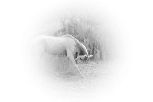 Michelangelo Wall Art