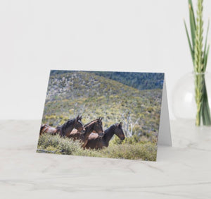 The Three Amigos Greeting card