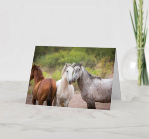 Family Bonds 5x7 Greeting Card