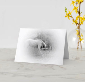 Michelangelo 5x7 blank greeting card