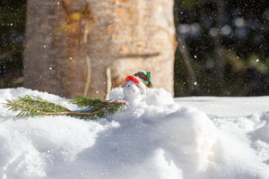 “Mouse Christmas “